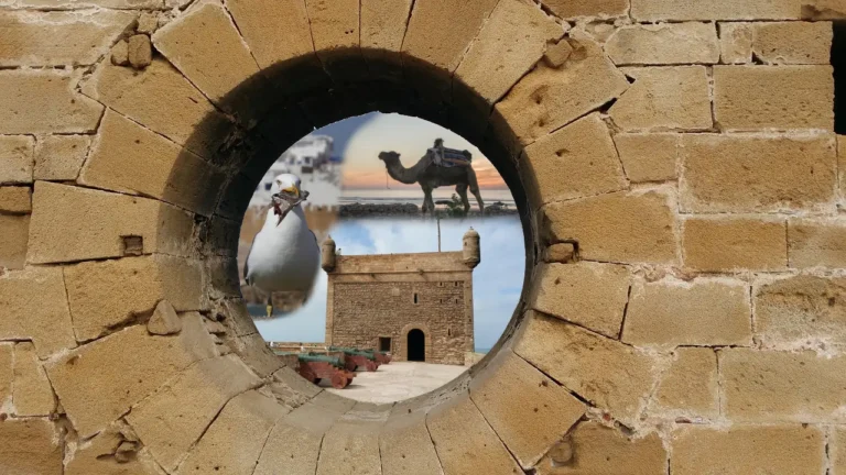 View of the Skala du Port fort in Essaouira, a prominent Game of Thrones filming location overlooking the Atlantic Ocean.